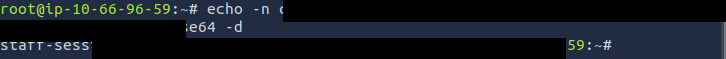 Base64-decoding the captured cookie to recover the session token